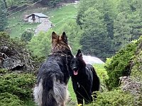 Shani und Gitan